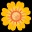 🌼